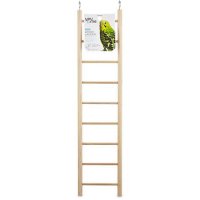 bird ladder.jpg